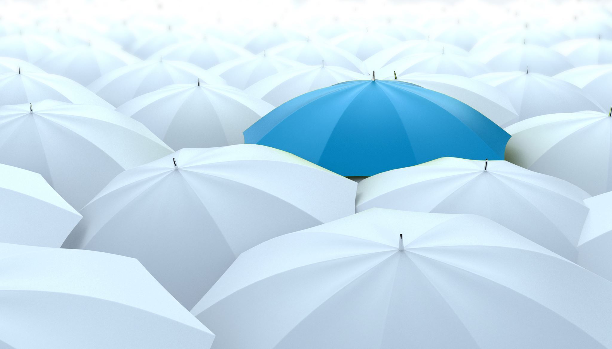 Sea-of-white-umbrellas-with-one-blue-one-in-the-crowd